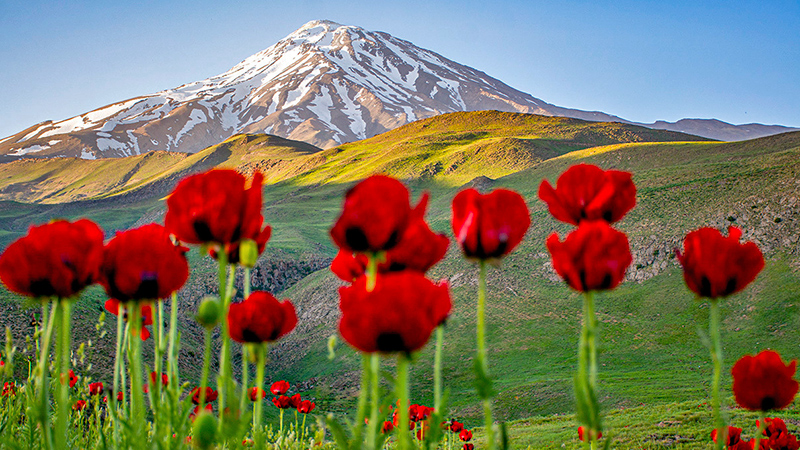 damavand mountain iran