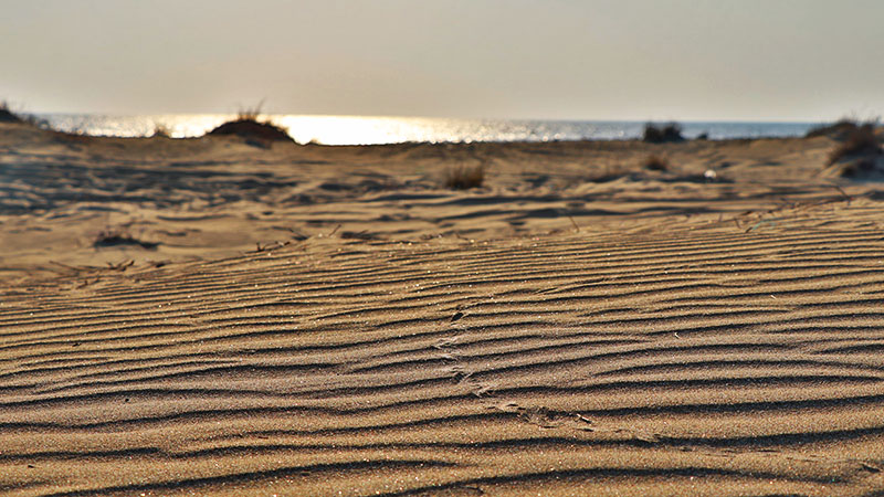 darak beach in sistan and baluchistan