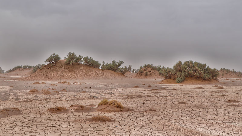 Nebkhas of the Lut desert, sand dunes 