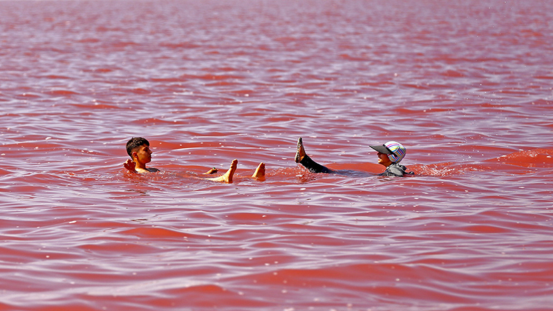 pink salt lake urmia